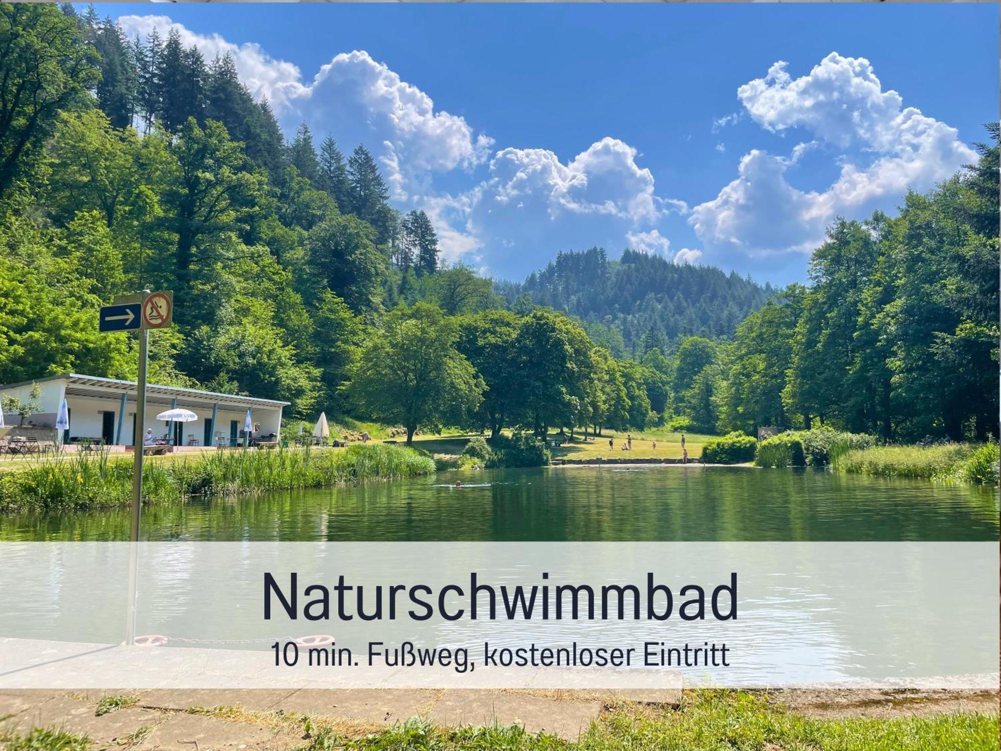 Ferienwohnungen Auszeit Langmatt Зульцбург Экстерьер фото
